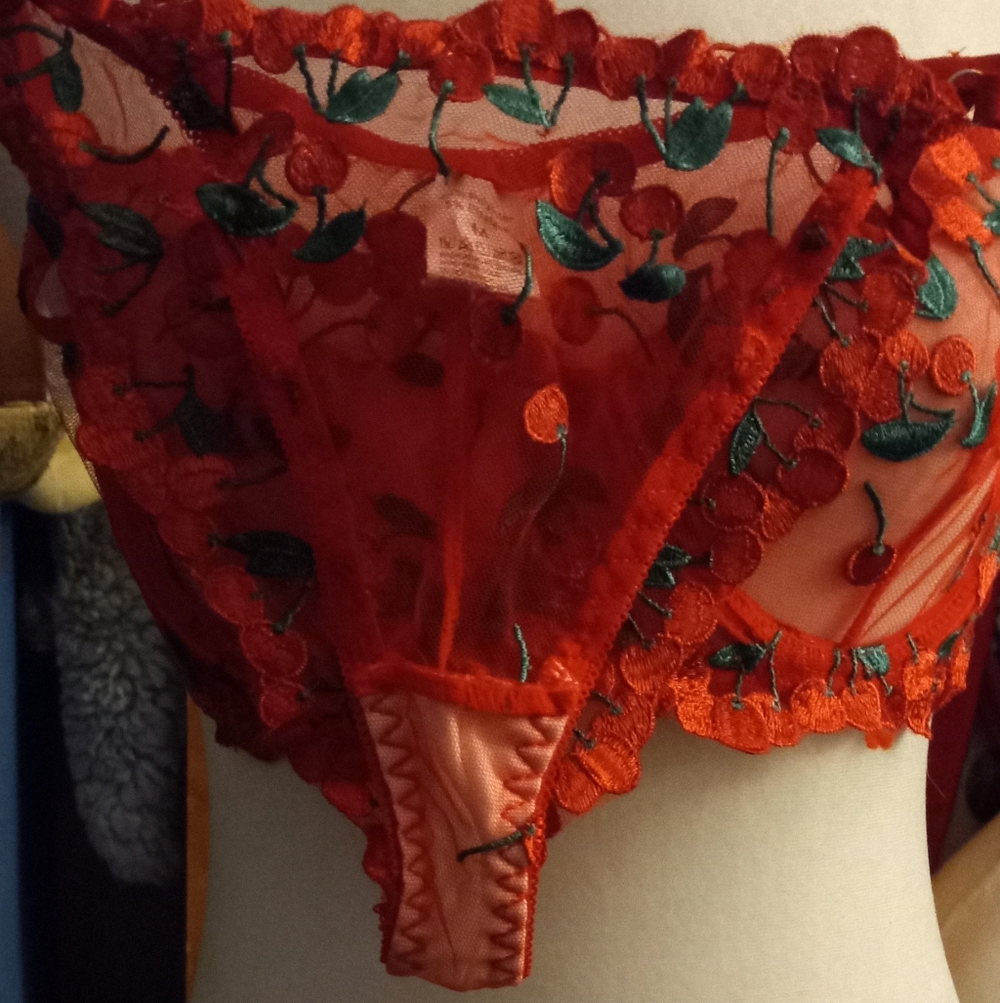 New,red sheer mesh cherries  embroidered underwire bra & thong lingerie size med - Picture 5 of 13